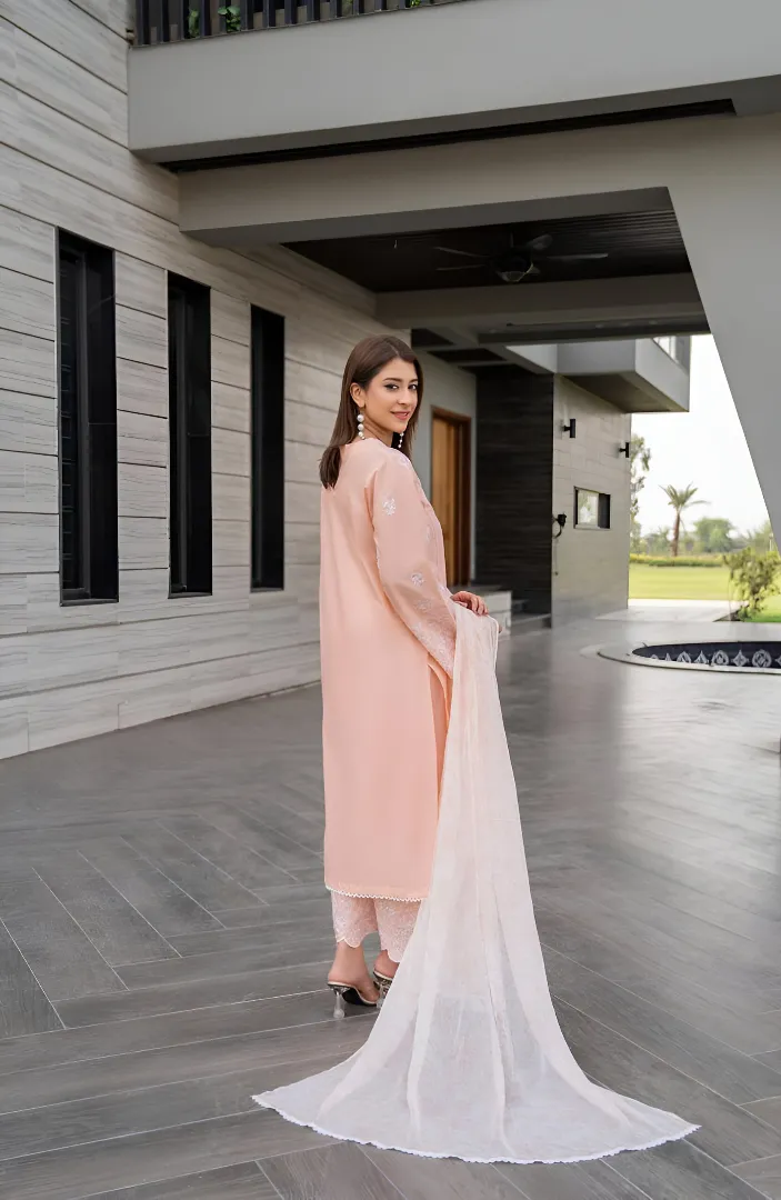 Peach Nude 3pc - Image 5